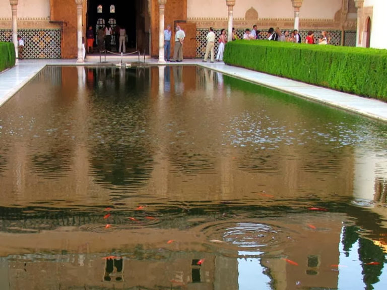 I Congreso Nacional FAISS